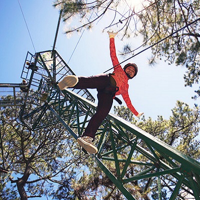 Tree Top Adventure